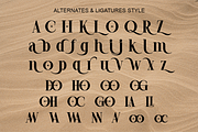 Rugola - Modern Luxury Font, a Serif Font by RagamKata (Thumbnail 9 of 10)