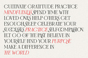 Frosty Garden - Elegant Retro Serif, a Serif Font by SilverStag Type Foundry (Thumbnail 19 of 19)