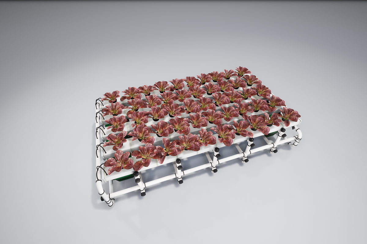 Hydroponics system LG, an Environmental 3D Model by AndrewWhite (Photo 14 of 17)