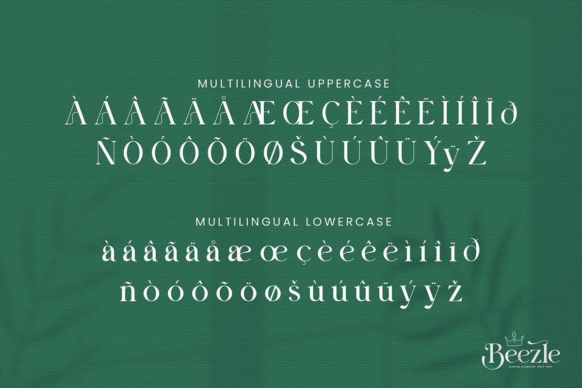 Beezle Modern Serif Font, a Serif Font by Idea Studio (Photo 7 of 10)
