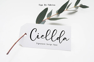 Ciellda || Signature Script Font