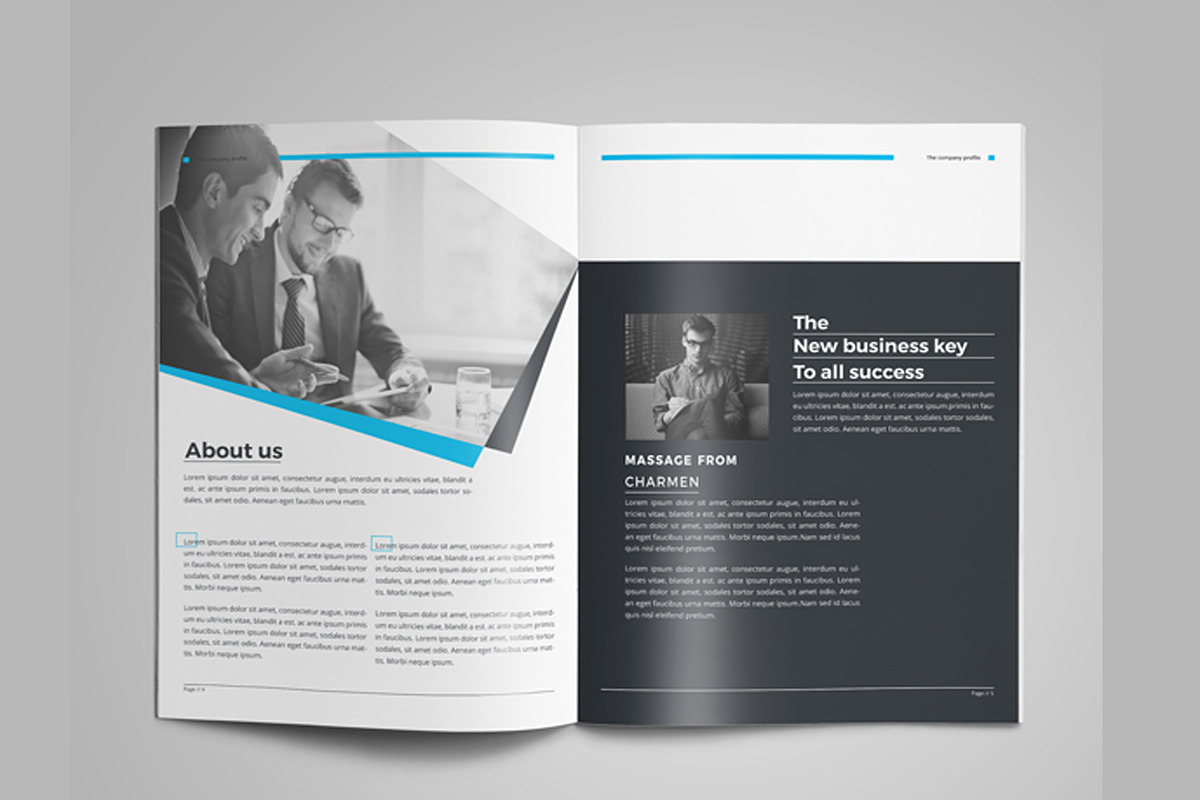 Company Profile, a Brochure Template by obidullah_01 (Photo 3 of 8)