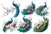 Peacock bird Clipart, an Illustration by Designworld (Thumbnail 2 of 4)
