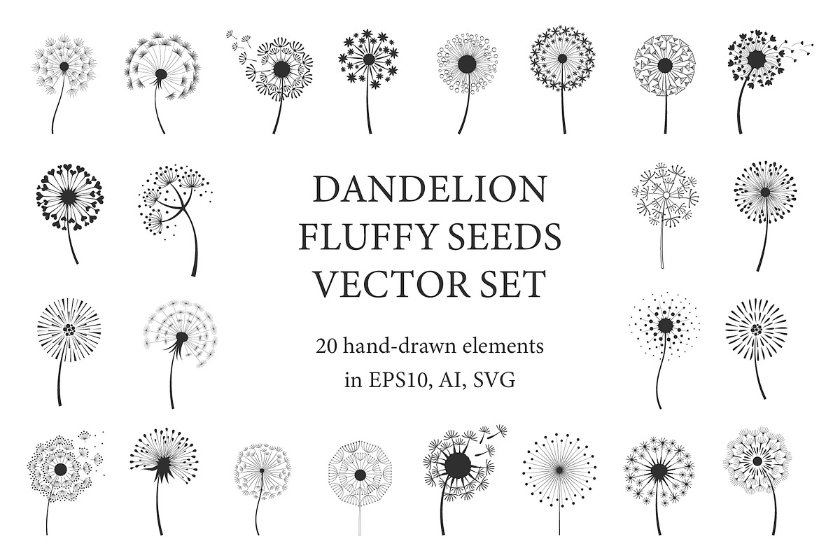 Dandelion flowers with fluffy seeds, a Background Graphic by Lettering_Logo (Photo 1 of 2)