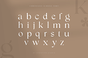 Ginkgo - Modern Classy Serif Font, a Serif Font by Sensatype (Thumbnail 20 of 20)