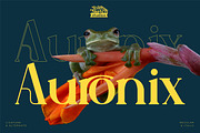 Auronix, a Serif Font by Rishsketch (Thumbnail 1 of 15)