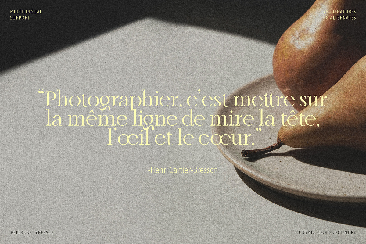 Bellrose Display Serif Font, a Serif Font by CarmineType (Photo 20 of 24)