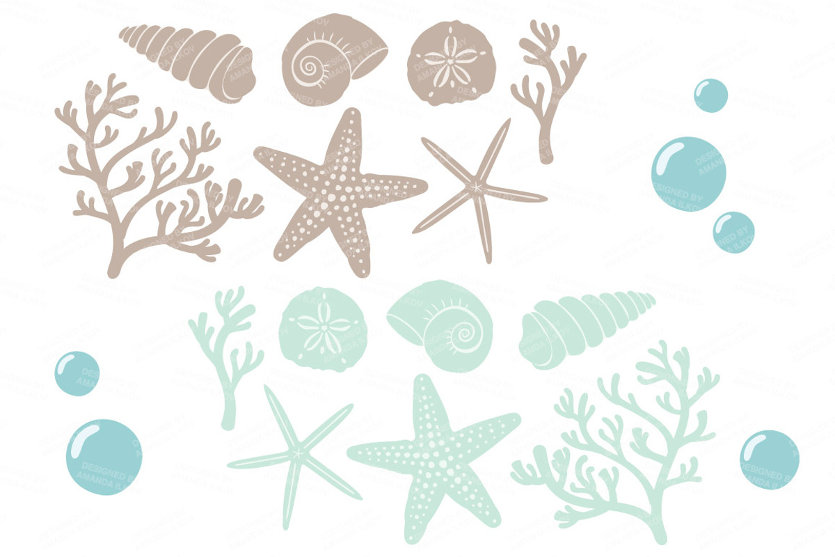 Seashells Clipart in Mint, an Illustration by Amanda Ilkov (Photo 5 of 5)