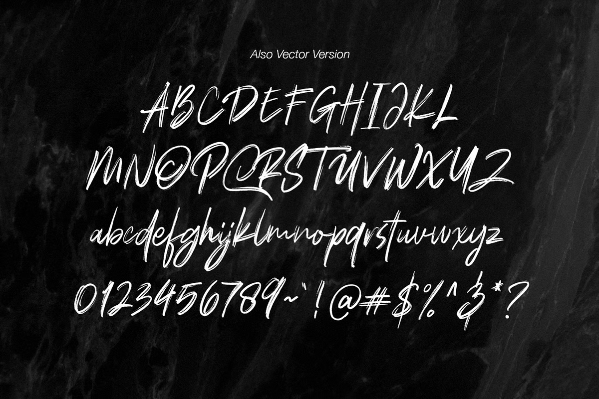 Polandic SVG Brush Font, a Handwritten Font by MACK 75 (Photo 3 of 10)