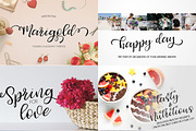 Handwritten Font Bundle super sale!, a Handwritten Font by BilberryCreates (Thumbnail 11 of 22)