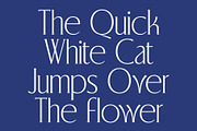CS Blythe – Stylish Serif Font, a Serif Font by Craft Supply Co. (Thumbnail 2 of 8)