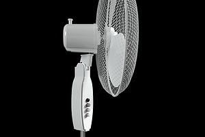 Oscillating Pedestal Fan