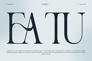 TBJ Nord Poem Classic Roman Serif