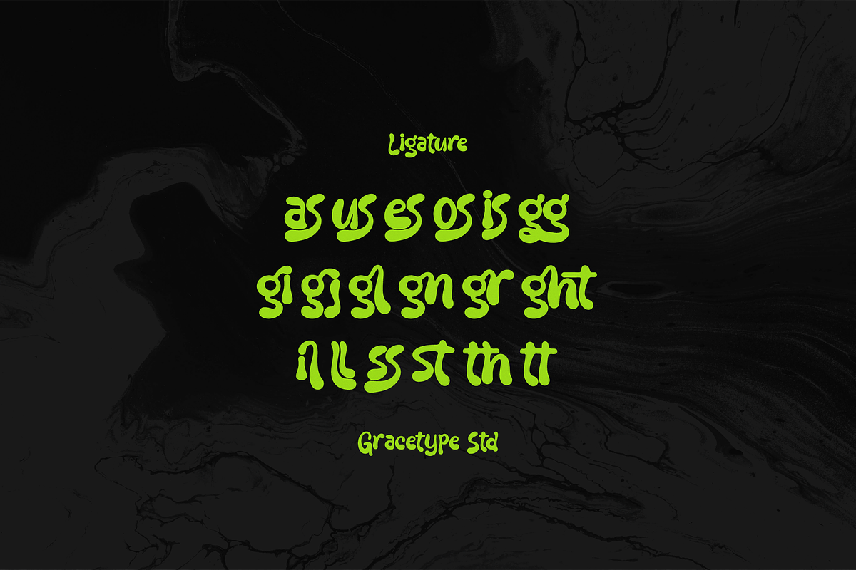 Liquid Unflow | Liquid Playful Font, a Handwritten Font by gracetype_studio (Photo 12 of 12)