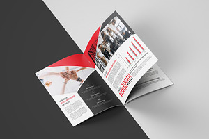 Business Brochure Company Profile