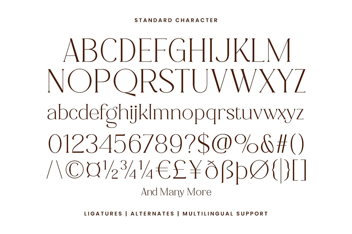 Quinale - Beautiful Serif, a Serif Font by Novitype (Photo 14 of 14)