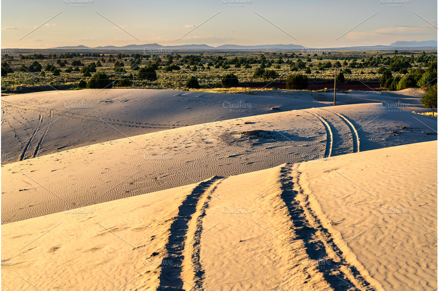 Tire tracks on St. Anthony Sand, a Nature Photo by Leonid Andronov