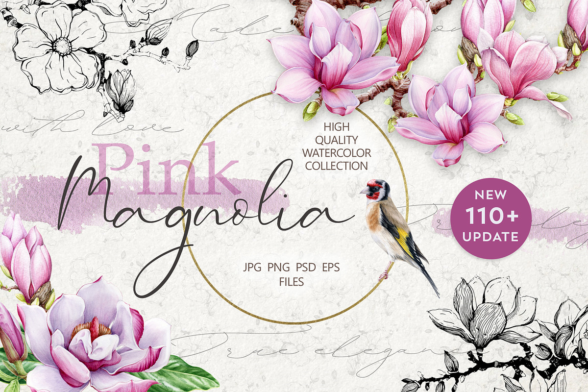Pink Magnolia Watercolor Collection, a Decorative Illustration by AnitaPol (Photo 1 of 14)