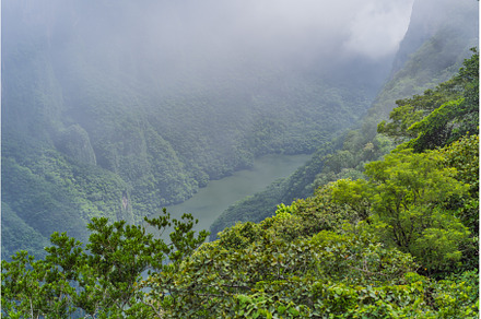 Sumidero Canyon National Park, a Nature Photo by Elizaveta Galitskaya