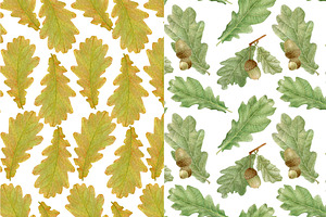 Oak Leaves 6 Seamless Patterns