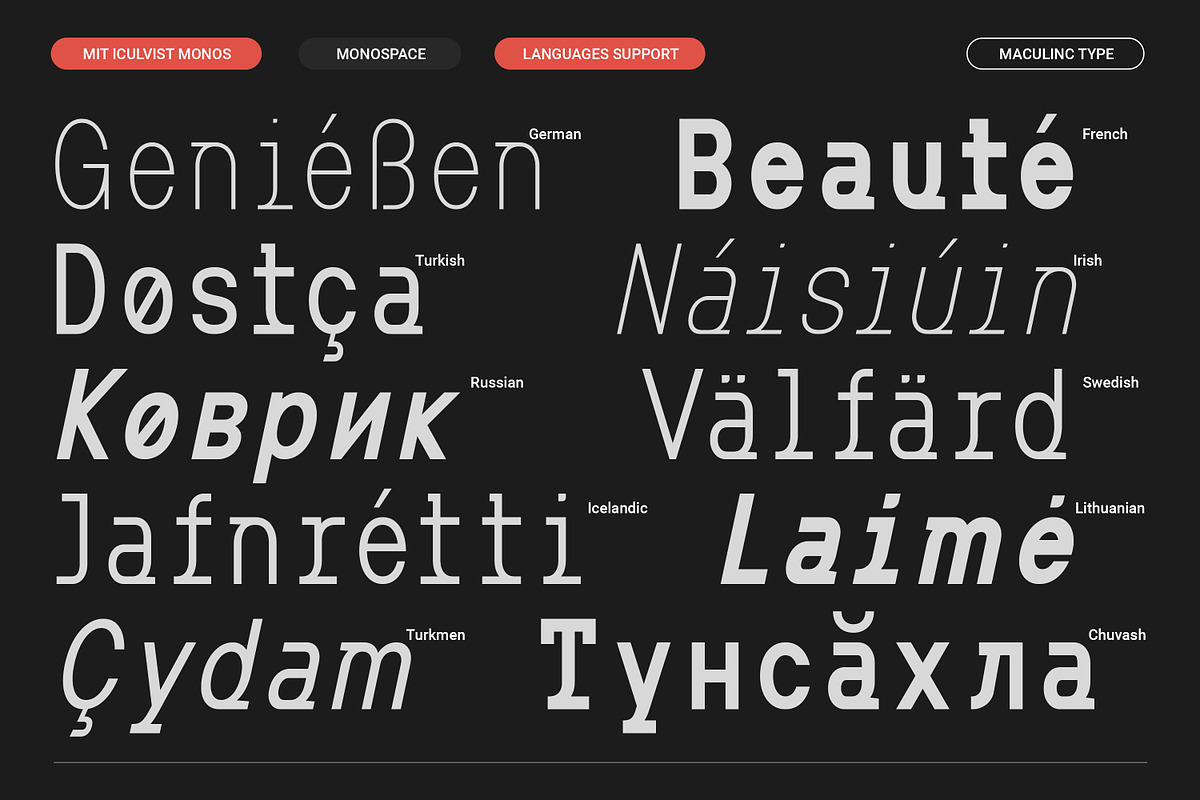 MIT Iculvist Monos Condensed, a Sans Serif Font by Maculinc Type (Photo 8 of 11)