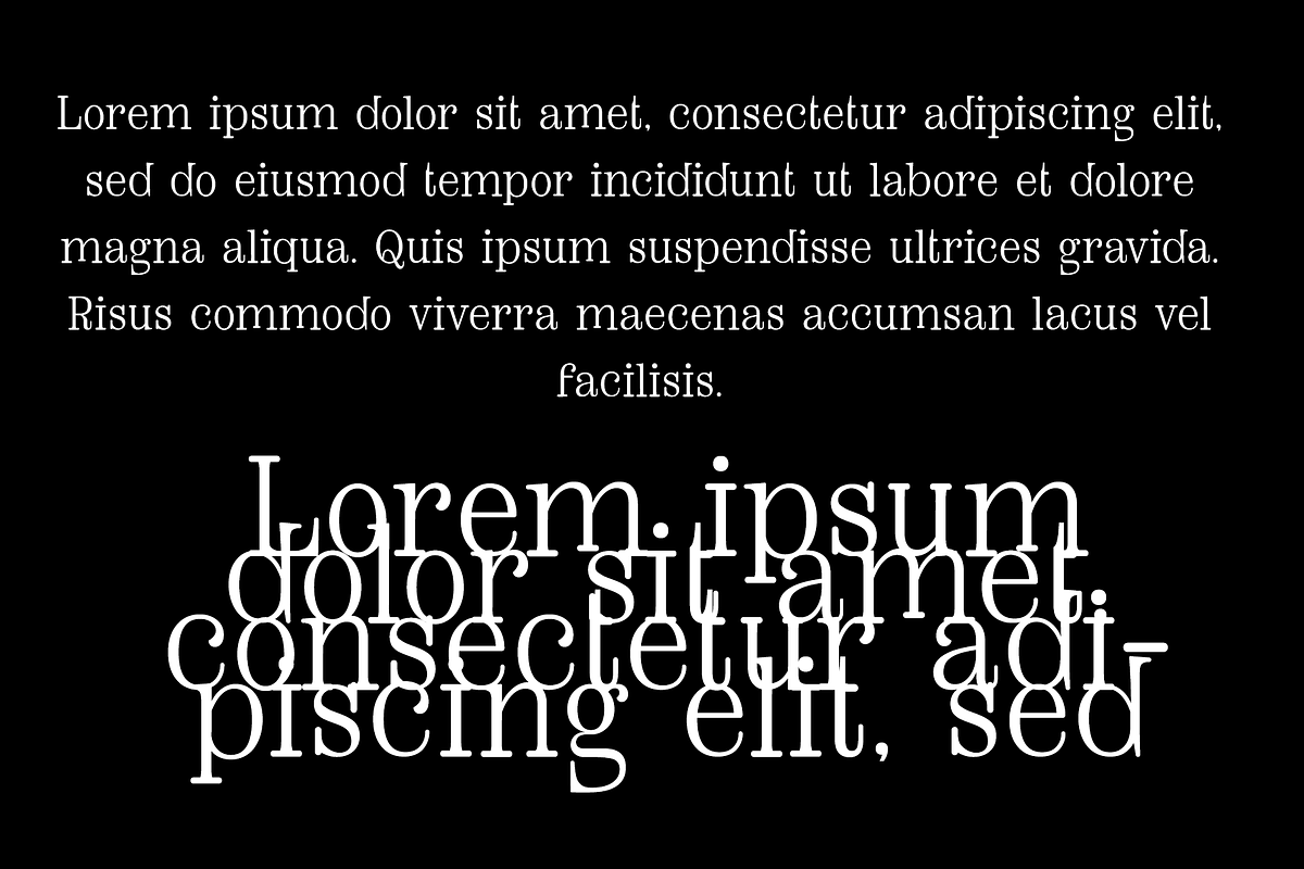 Gorogoro-Serif font, a Serif Font by portype (Photo 4 of 5)
