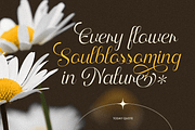 Monologue Elegant Luxury Script Font, a Script Font by Sensatype (Thumbnail 7 of 12)
