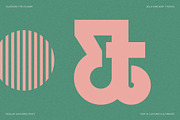 FlyBridge - Bold Ligature Rich Sans, a Sans Serif Font by SilverStag Type Foundry (Thumbnail 5 of 30)