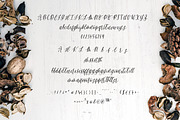 Blue Pumpkin Font, a Script Font by Holly Anna Calligraphy (Thumbnail 2 of 10)