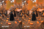 15 Fall Lightroom Presets, a Preset Add-On by TheWayfarerShoppe (Thumbnail 2 of 6)