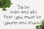 Leaphabet, a Serif Font by Kris Davie (Thumbnail 8 of 10)