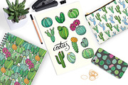 20 hand drawn cactuses & succulents, a Decorative Illustration by pixelwerk (Thumbnail 5 of 5)