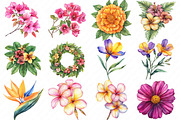 Bright Summer Flower Clipart, an Illustration by Watercolor design (Thumbnail 2 of 11)