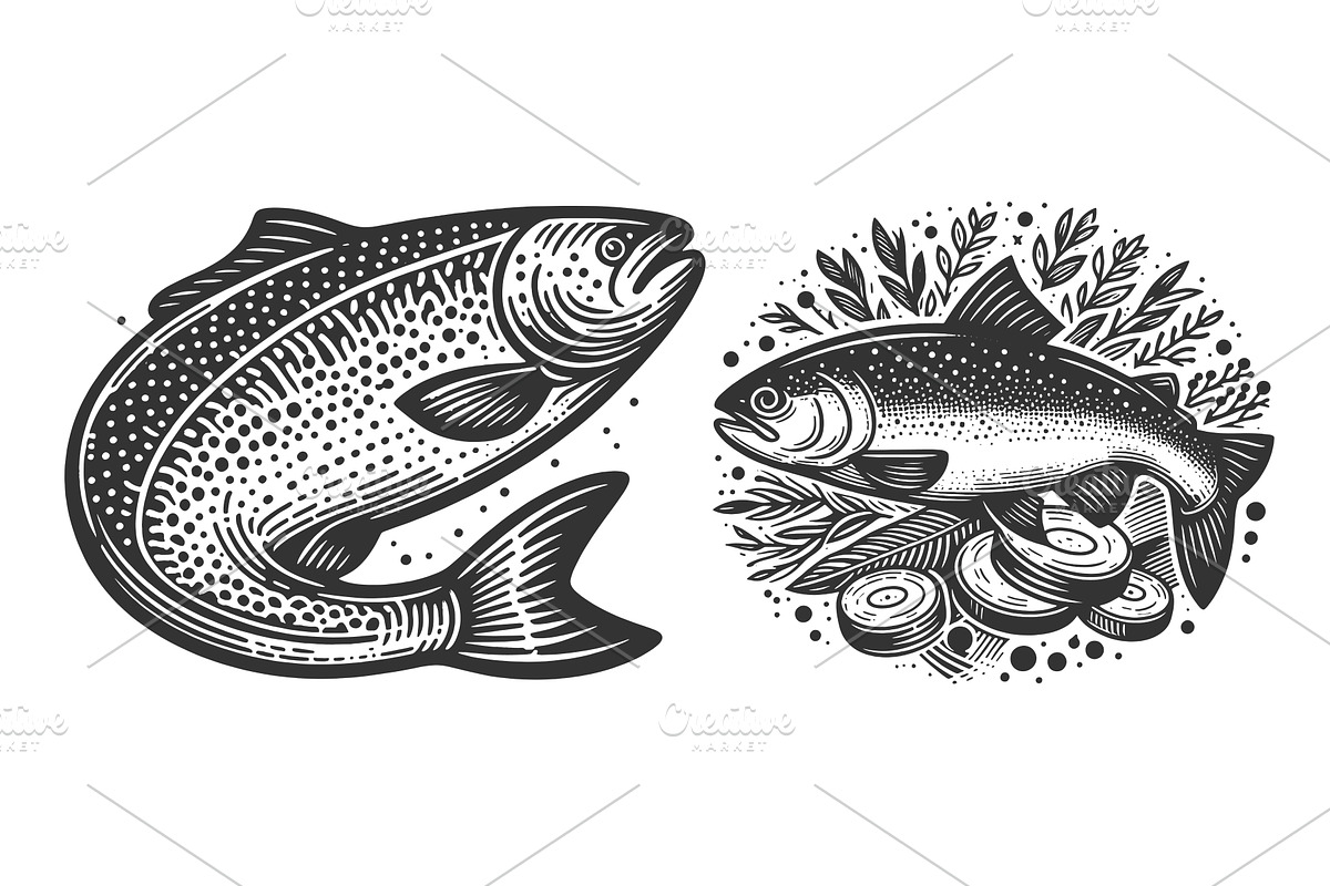 Salmon Fish engraving set vector, an Animal Illustration by AlexArt