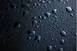 Close-up view of water droplets on a, a Nature Photo by IlliaBondarPhotography