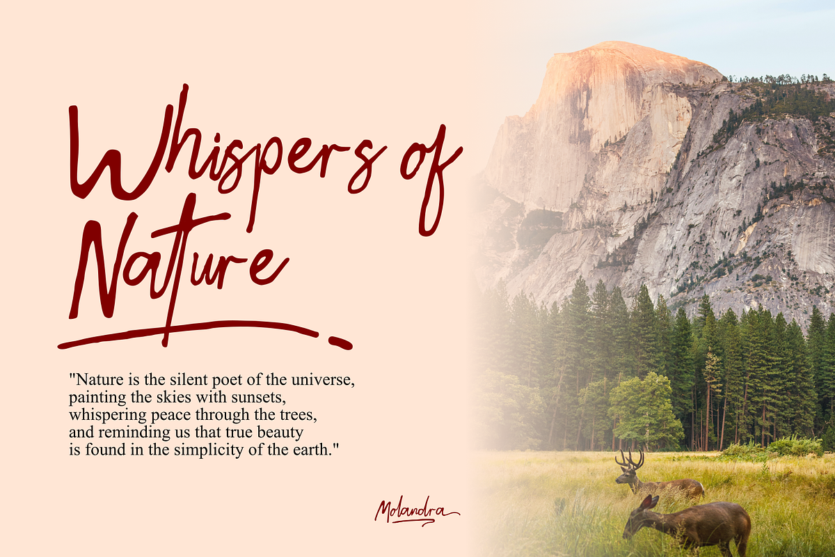 Molandra - Handwritten Font, a Handwritten Font by Majelis Art (Photo 4 of 7)