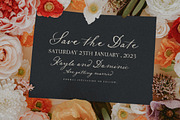 Nightingale Script, a Script Font by Nicky Laatz (Thumbnail 3 of 10)