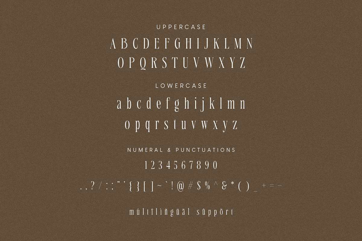 Taska Serif Display, a Serif Font by Hishand Studio (Photo 8 of 10)