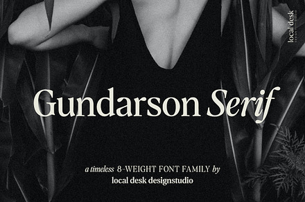 Gundarson Serif Family, a Serif Font by Local Desk Designstudio