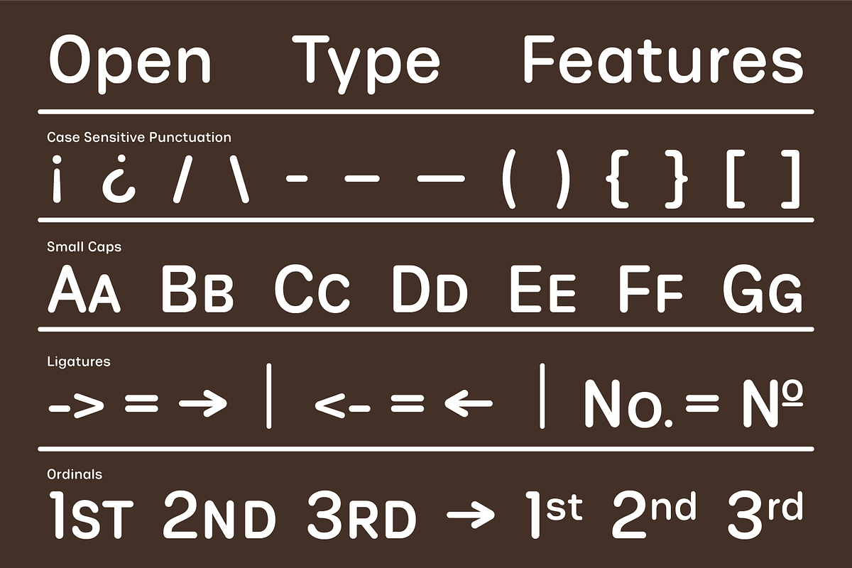 Phluff Variable Round Sans Font, a Sans Serif Font by That That Creative (Photo 10 of 17)