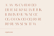 Roseritta - Ligature Serif, a Serif Font by BrandSemut (Thumbnail 11 of 11)