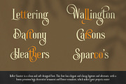 Roller Coaster Serif (Bonus), a Serif Font by Anxiety Studio (Thumbnail 5 of 19)