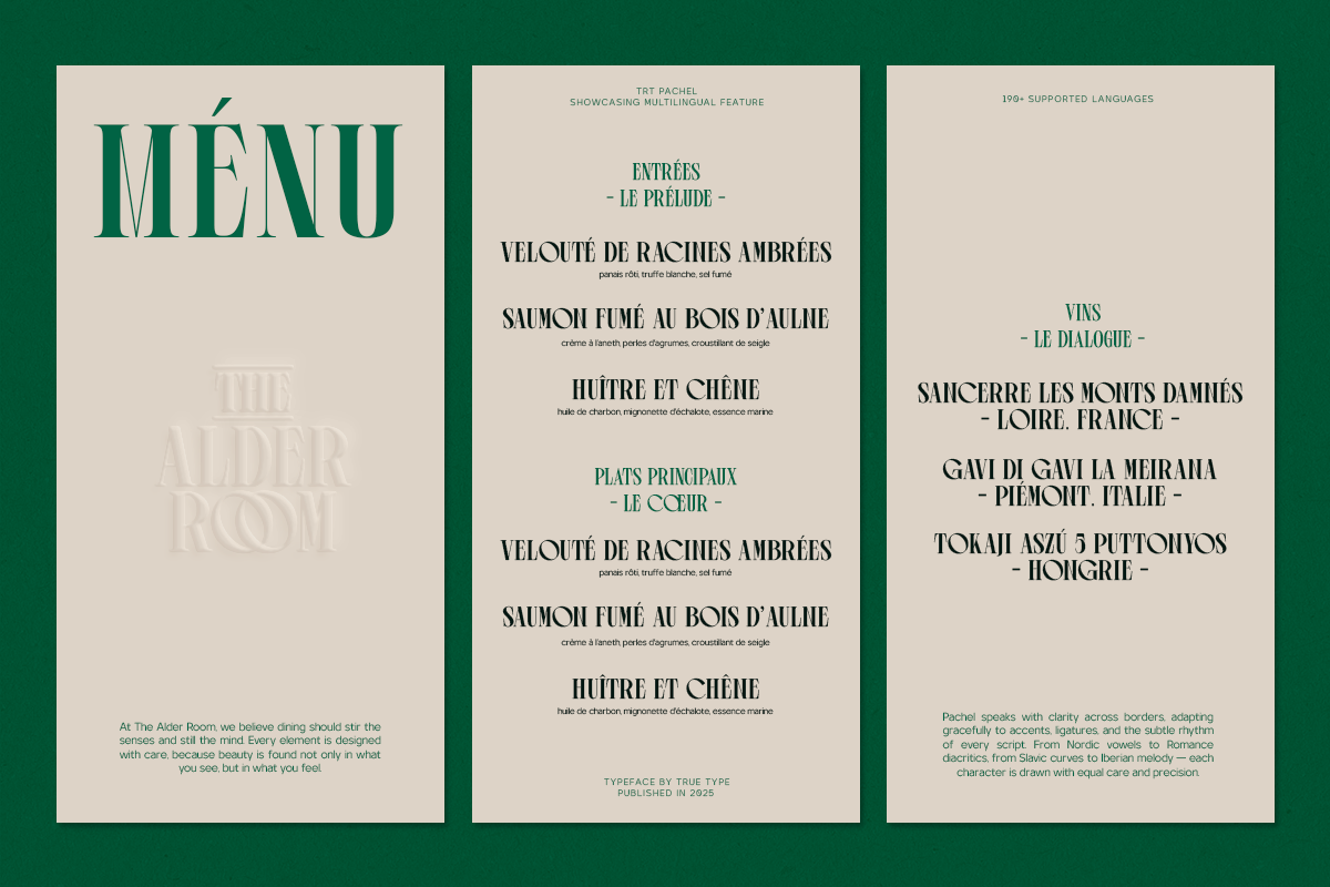 TRT Pachel Luxury Editorial Serif, a Serif Font by truetype (Photo 15 of 15)