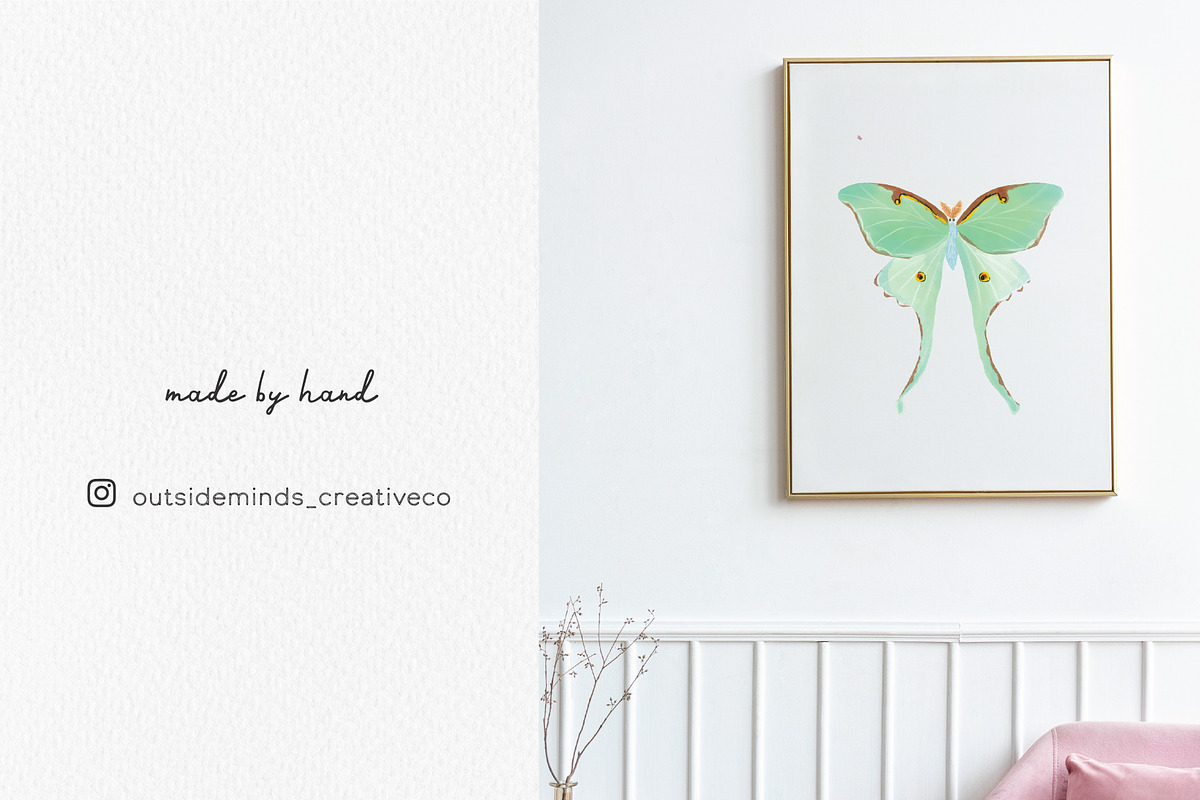 Watercolor Insects, an Animal Illustration by Stacey Shaller (Photo 5 of 6)