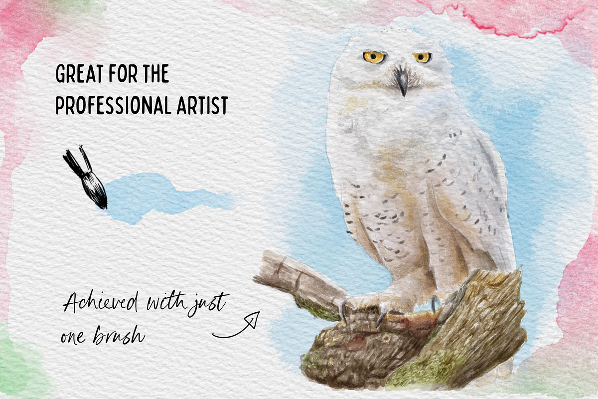 One Brush Wonder Watercolour, a Brush Add-On by SketchWerx (Photo 7 of 12)