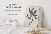 Poisonous Plant Vector Illustrations, an Object Graphic by Yevheniia (Thumbnail 2 of 11)