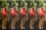 Dreamy Print Photo Effect, a Layer Style Add-On by Freezerondigital (Thumbnail 2 of 13)