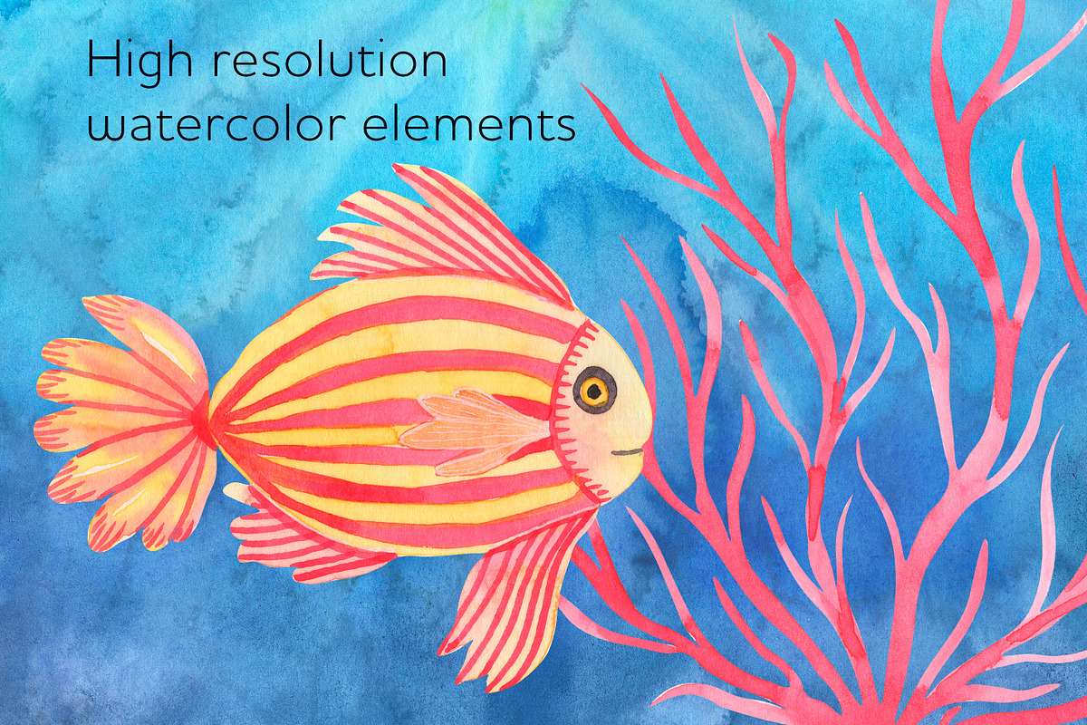 Fish watercolor clipart Ocean png, an Animal Illustration by AnastasiaWatercolor (Photo 7 of 7)