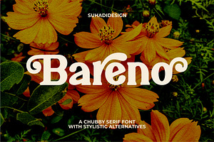 Bareno Modern Retro Serif Font