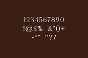 Apostrophic Beauty Serif Font, a Serif Font by UICreative (Thumbnail 8 of 12)